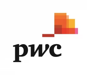 pwc-logo-buyuk